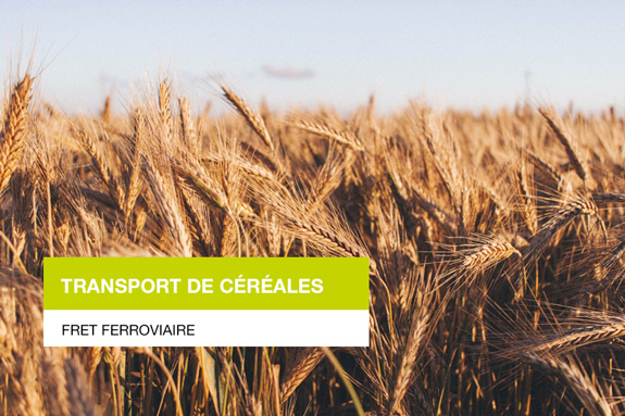 ecorail transport s'occupe du transport ferroviaire ou fret feroviaire de vos produits cerealiers en france sur le reseau SNCF
